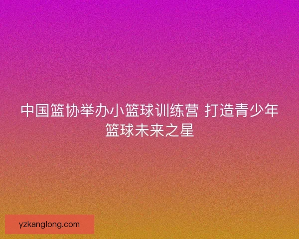 中国篮协举办小篮球训练营 打造青少年篮球未来之星